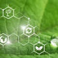 The Benefits of Using Eco-Friendly Paints for Your Commercial Space