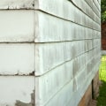 Dealing with Common Exterior Issues: Mold and Mildew