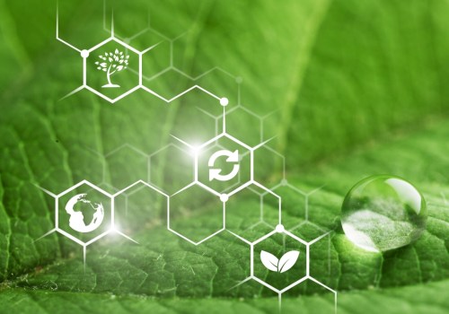 The Benefits of Using Eco-Friendly Paints for Your Commercial Space